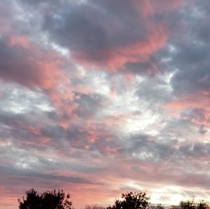 Meet your Posher, Ruth